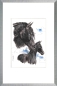 Preview: 20x30