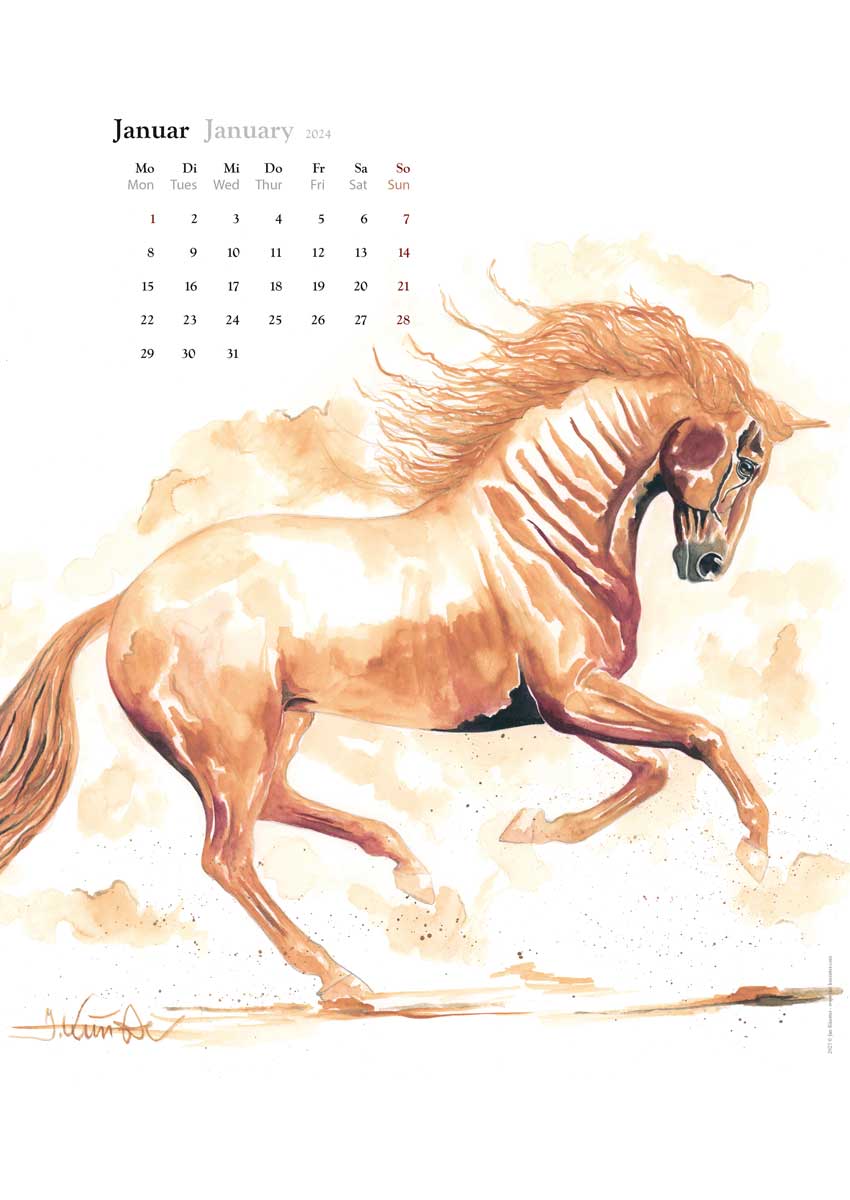 Horses Calendar "Horses 2024" Jan Künster, Bonn, Germany