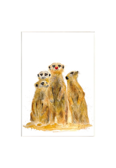 Meerkats with a red nose